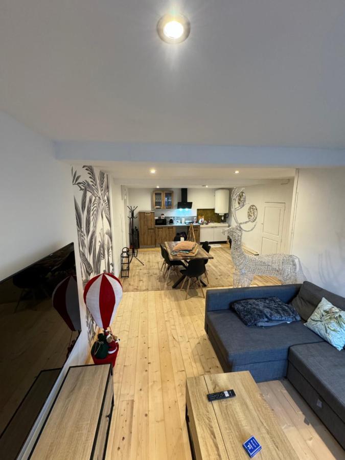 Charmant Grand Appartement Serdinya Kültér fotó